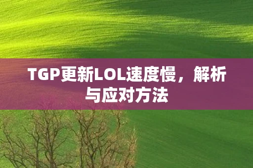 TGP更新LOL速度慢，解析与应对方法