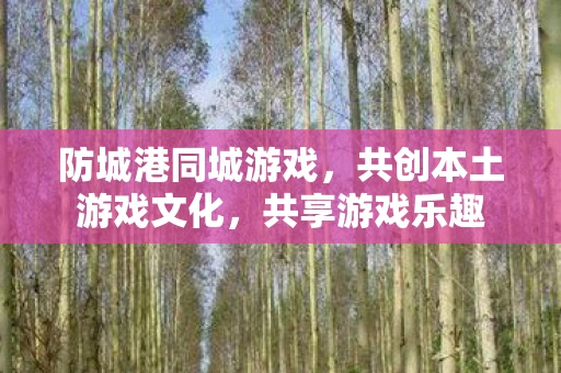 防城港同城游戏，共创本土游戏文化，共享游戏乐趣