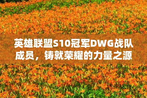 英雄联盟S10冠军DWG战队成员，铸就荣耀的力量之源