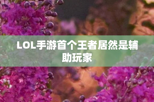 LOL手游首个王者居然是辅助玩家