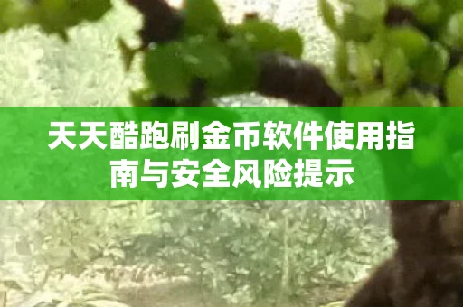 天天酷跑刷金币软件使用指南与安全风险提示