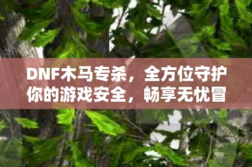 DNF木马专杀，全方位守护你的游戏安全，畅享无忧冒险之旅