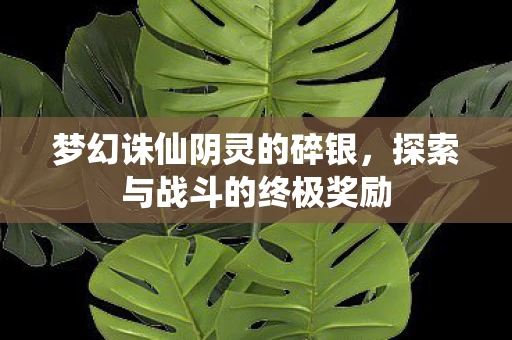 梦幻诛仙阴灵的碎银，探索与战斗的终极奖励