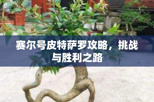 赛尔号皮特萨罗攻略，挑战与胜利之路