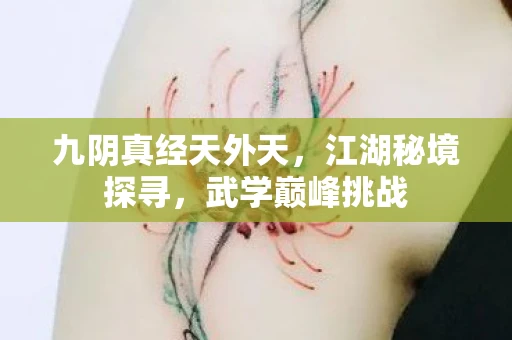 九阴真经天外天，江湖秘境探寻，武学巅峰挑战