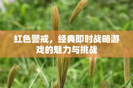红色警戒，经典即时战略游戏的魅力与挑战