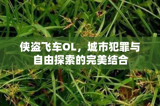 侠盗飞车OL，城市犯罪与自由探索的完美结合