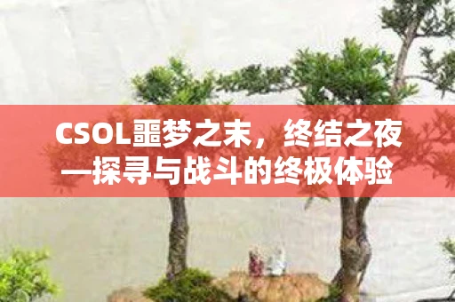 CSOL噩梦之末，终结之夜—探寻与战斗的终极体验