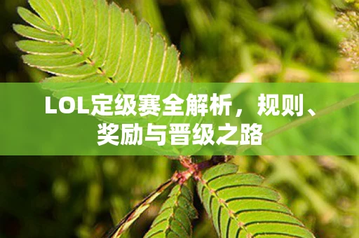 LOL定级赛全解析，规则、奖励与晋级之路