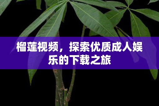 探索优质成人娱乐的下载之旅图片