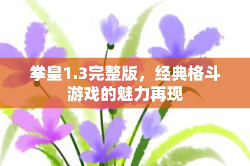 拳皇1.3完整版，经典格斗游戏的魅力再现