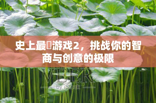 史上最囧游戏2，挑战你的智商与创意的极限