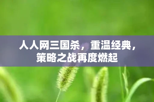 人人网三国杀，重温经典，策略之战再度燃起
