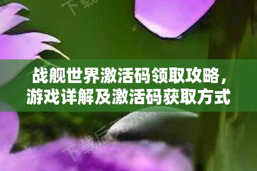 战舰世界激活码领取攻略，游戏详解及激活码获取方式