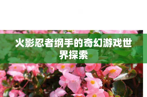 火影忍者纲手的奇幻游戏世界探索图片