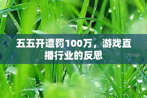 五五开遭罚100万，游戏直播行业的反思