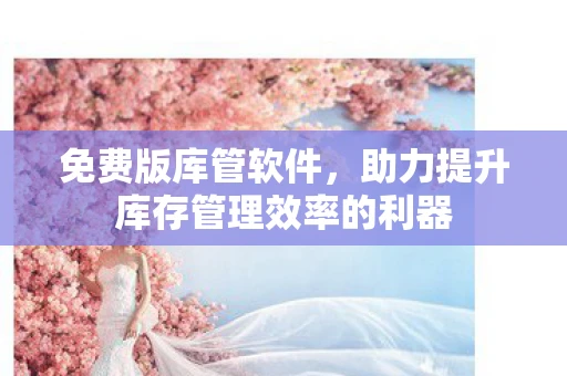 免费版库管软件，助力提升库存管理效率的利器