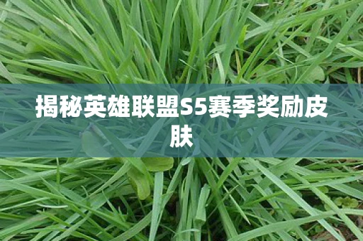 揭秘英雄联盟S5赛季奖励皮肤