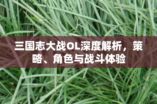 三国志大战OL深度解析，策略、角色与战斗体验