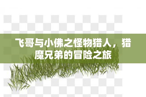 飞哥与小佛之怪物猎人，猎魔兄弟的冒险之旅