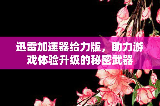 迅雷加速器给力版，助力游戏体验升级的秘密武器