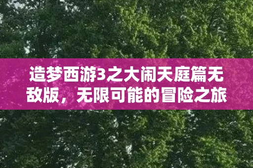 造梦西游3之大闹天庭篇无敌版，无限可能的冒险之旅探索