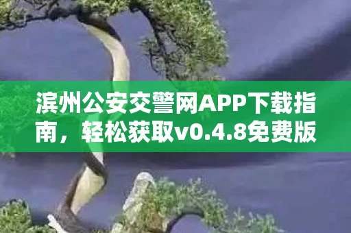 滨州公安交警网APP下载指南，轻松获取v0.4.8免费版本