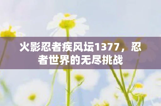 火影忍者疾风坛1377，忍者世界的无尽挑战