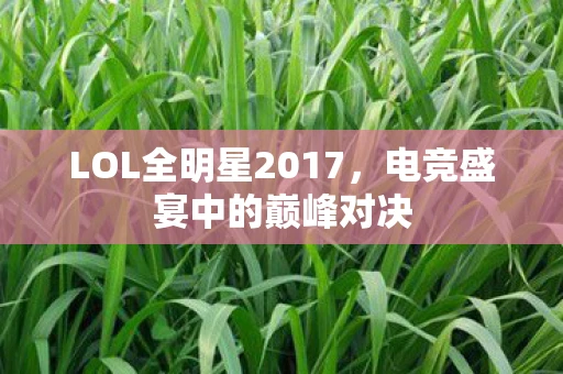 LOL全明星2017，电竞盛宴中的巅峰对决