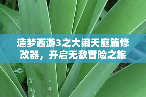 造梦西游3之大闹天庭篇修改器，开启无敌冒险之旅