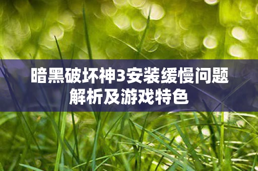 暗黑破坏神3安装缓慢问题解析及游戏特色