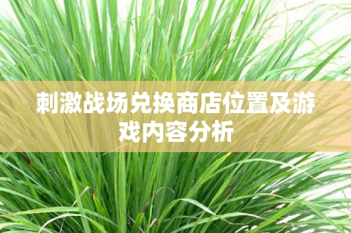 刺激战场兑换商店位置及游戏内容分析