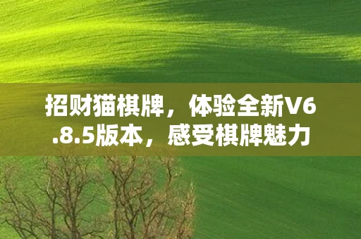 招财猫棋牌，体验全新V6.8.5版本，感受棋牌魅力