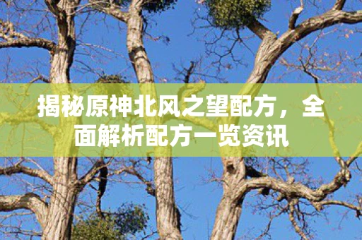 揭秘原神北风之望配方，全面解析配方一览资讯