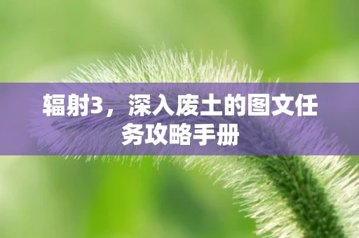 辐射3，深入废土的图文任务攻略手册