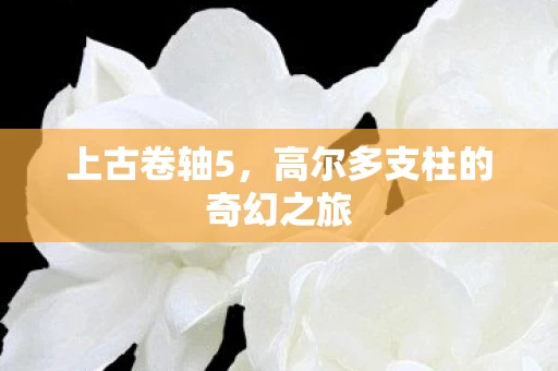 高尔多支柱的奇幻之旅图片