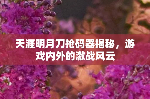 天涯明月刀抢码器揭秘，游戏内外的激战风云