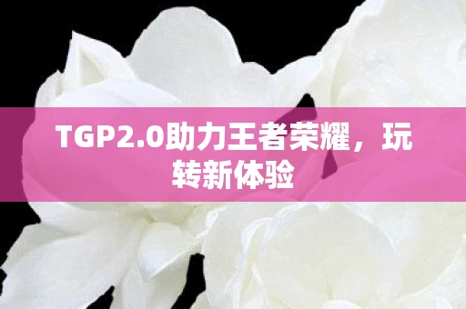 TGP2.0助力王者荣耀，玩转新体验