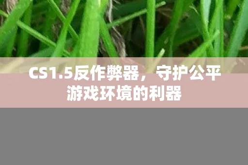 CS1.5反作弊器，守护公平游戏环境的利器