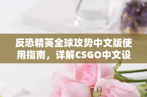 反恐精英全球攻势中文版使用指南，详解CSGO中文设置与应用