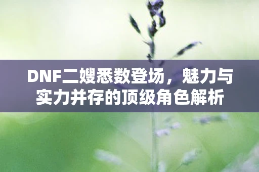 DNF二嫂悉数登场，魅力与实力并存的顶级角色解析