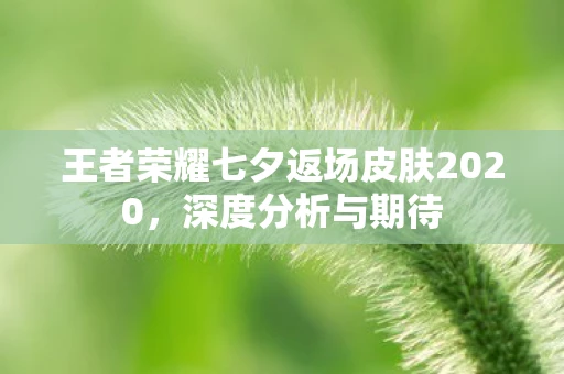 王者荣耀七夕返场皮肤2020，深度分析与期待