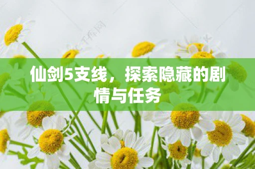 仙剑5支线，探索隐藏的剧情与任务