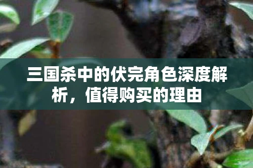 三国杀中的伏完角色深度解析，值得购买的理由