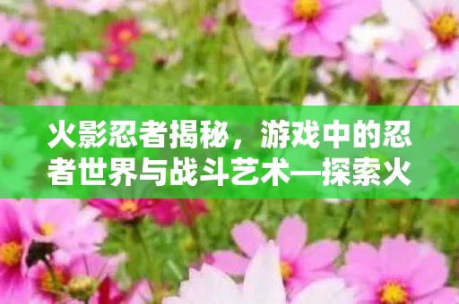 火影忍者揭秘，游戏中的忍者世界与战斗艺术—探索火影忍者644的奥秘