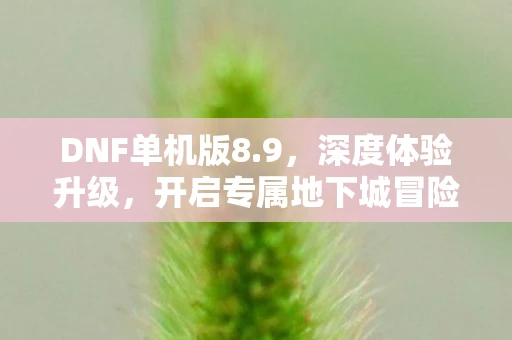 DNF单机版8.9，深度体验升级，开启专属地下城冒险之旅