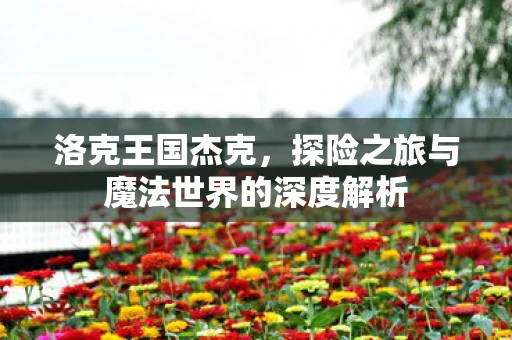 洛克王国杰克，探险之旅与魔法世界的深度解析