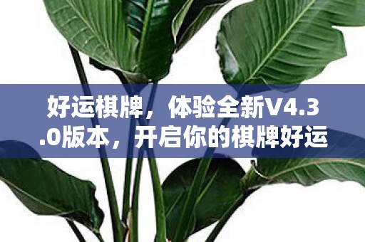 好运棋牌，体验全新V4.3.0版本，开启你的棋牌好运之旅