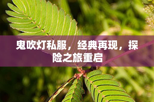 鬼吹灯私服，经典再现，探险之旅重启