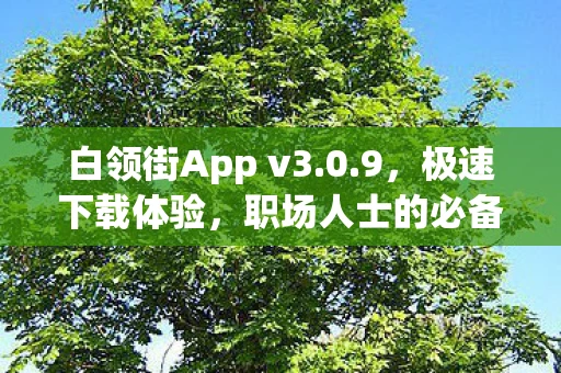 白领街App v3.0.9，极速下载体验，职场人士的必备之选